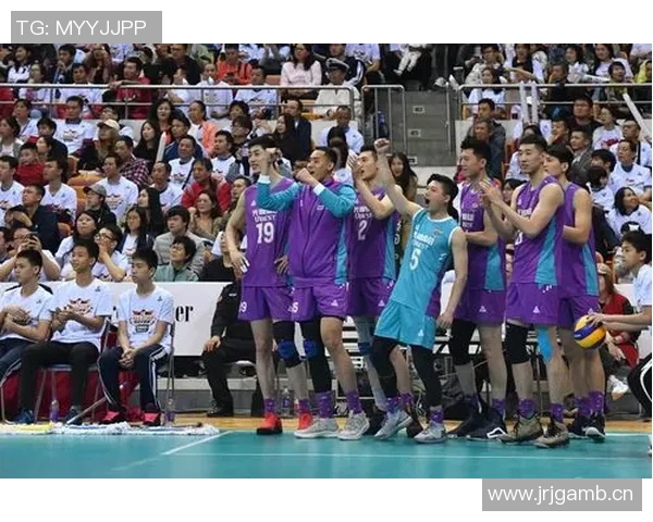 深圳排球队携手奋进实现团队协作新高度荣登全国排球团队协作榜首